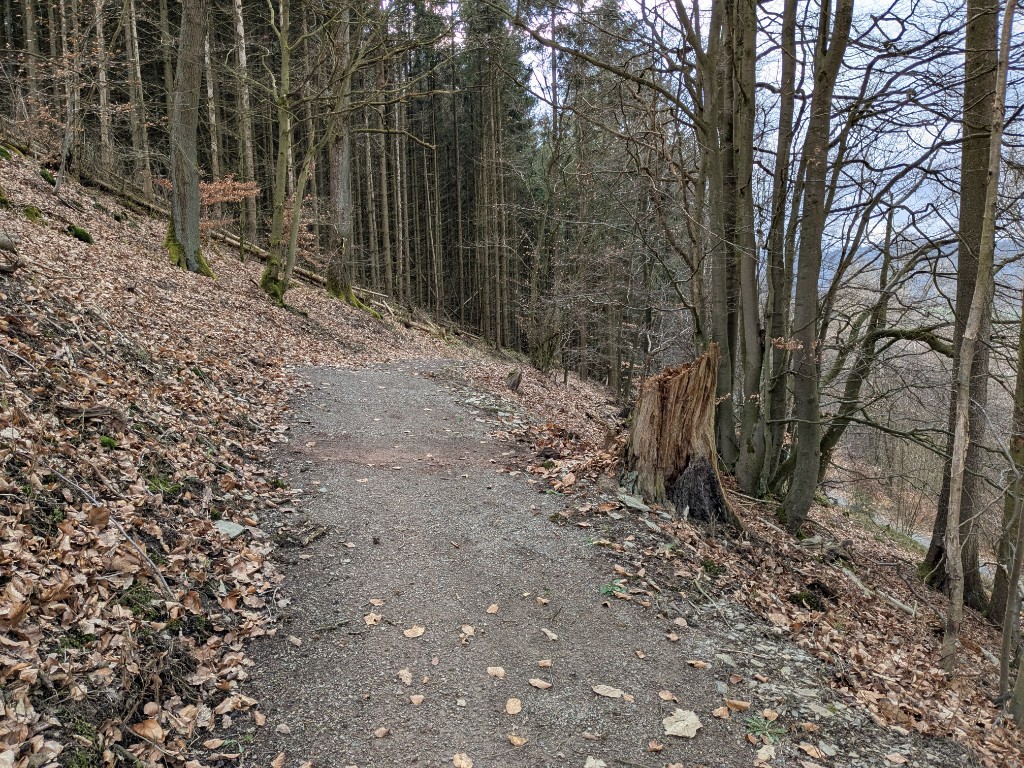 Waldweg mit unsichtbar eingebauter trailpulse Zählmatte